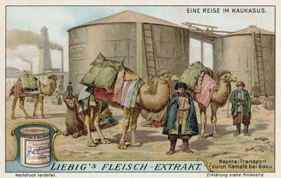 Transport von Naphtha per Kamel in Baku